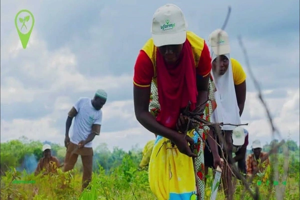 Nigeria’s UfarmX Enters Senegal to Fast-track Farmer’s Business Through Blockchain