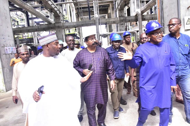 Dangote Petroleum Refinery & Petrochemicals Targets $30bn Revenue by 2025, Pledges to Boost FX Market