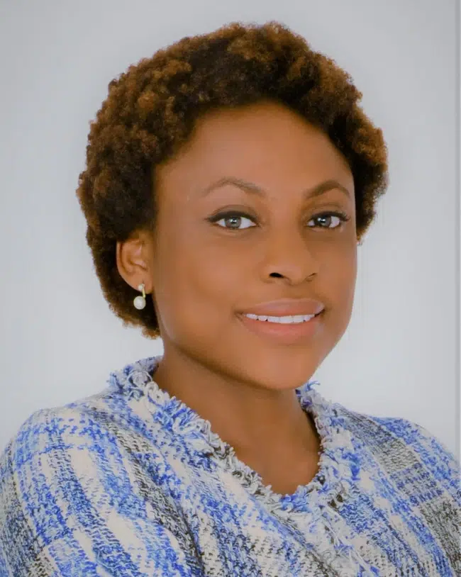 Plateau Govt Partners Energy Investor to Mobilise Finance for State’s Energy Resources 