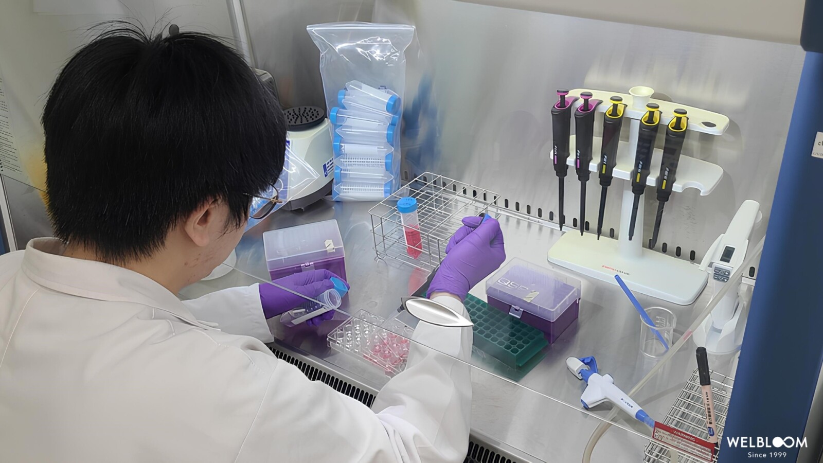 Patented Ingredients Help Malaysian Supplement Brands Stand Out as Wel-Bloom Bio-Tech Expands Market Presence