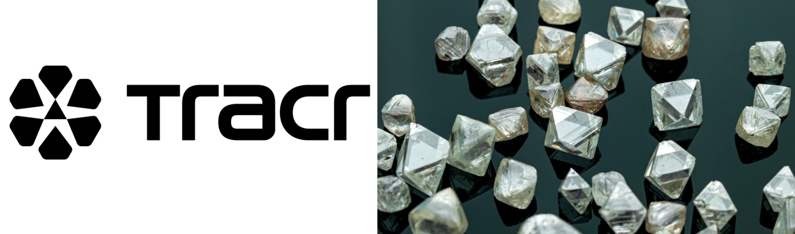 GIA Acquires 30% Shareholding in Diamond Provenance Blockchain Platform Tracr