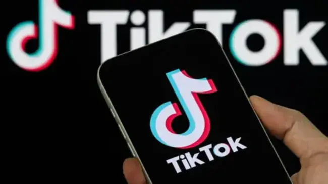 TikTok Shut-Down in Four Northern Nigerian States Triggers Legal Battle from Civil Society Group